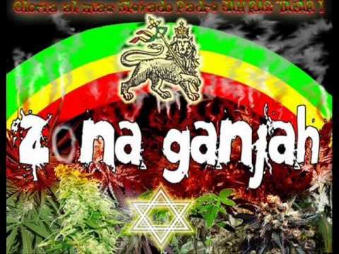 Ninguna Como Ella- Zona Ganjah