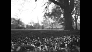 The Velvet Underground &amp; Nico - Sunday Morning