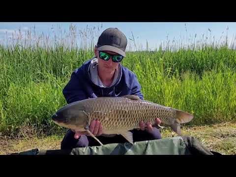 Łowisko Kwiecewo 2021 czerwiec