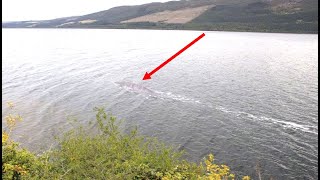 Someone Has Just Captured The Clearest Images Of The Loch Ness Monster Ever Taken