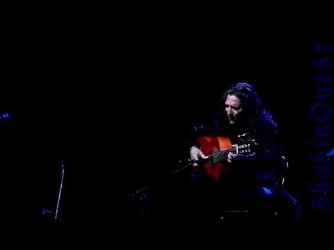 Tomatito | Tribute to Paco De Lucia