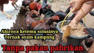 Download lagu VERY CHEAP FEED FOR FREE-TO-DOWN CHICKEN FARMING WITHOUT MANUFACTURER FEED mp3 Download lagu VERY CHEAP FEED FOR FREE-TO-DOWN CHICKEN FARMING WITHOUT MANUFACTURER FEED mp3