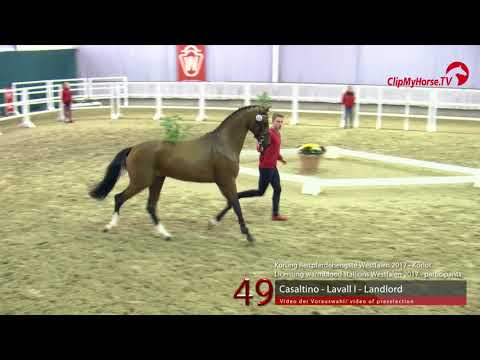 49 Junghengst v. Casaltino - Lavall I