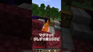 【霊夢vs魔理沙】最強になりすぎた世界のプレイの違い！！【ゆっくり実況/ゆっくり茶番】【マインクラフト/マイクラ】#shorts
