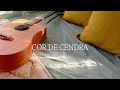 COR DE CENDRA Sara Roy