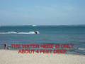 IDIOTS ON JET SKIS Isle Of Wight Council Are Anti Dog