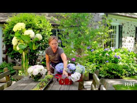 Hungry for Home Easy Floral Arrangements