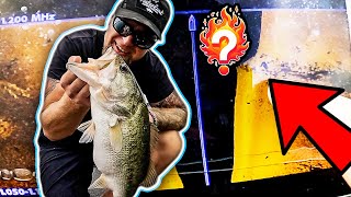 How To Use Your Electronics To Catch Bigger Fish. I SUCK AT THIS!
