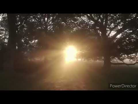 Cover "Stupenda Grazia"