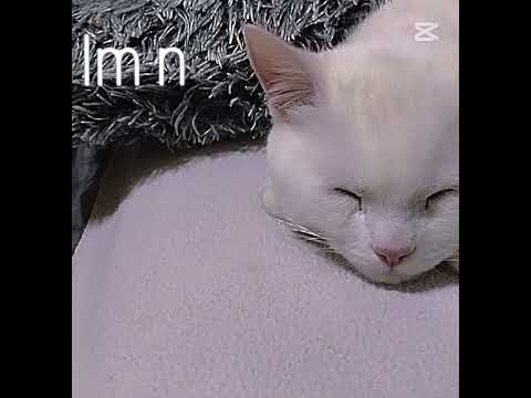 I'm not bad everything