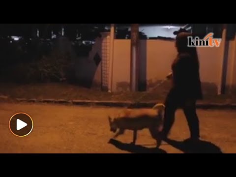 Jakim gesa pemilik anjing bertaubat
