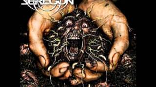 Seregon - Disposable Suffering