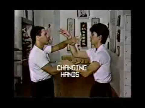 moy yat Ving Tsun Essentials