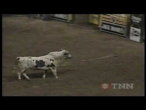 PBR 1997: Panhandle Slim chases Doug Forzani