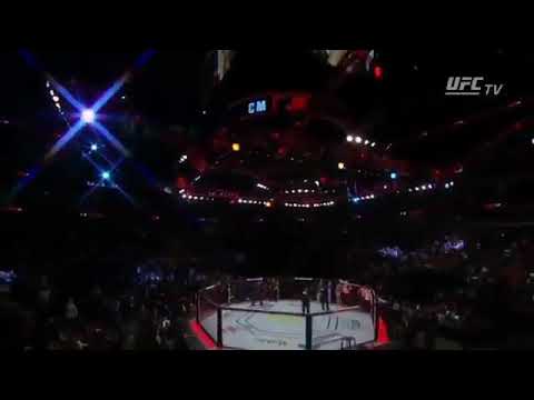 CM Punk Entrance at UFC 225 | WWE theme Cult of Personality