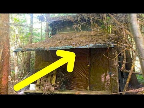 Agente forestal encuentra una misteriosa cabaña en el bosque, al entrar se llevó una enorme sorpresa Video