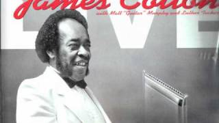 JAMES COTTON - Eyesight to the Blind. Live at Antone's 1987.