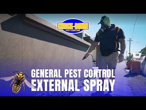 Knock-Down Pest Control Sydney - General Pest Control Services Sydney