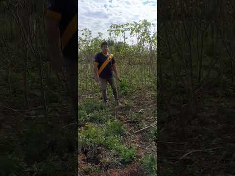 saludos desde Gral.H Morinigo Caazapá-paraguay Evelio Riveros Brizuela.