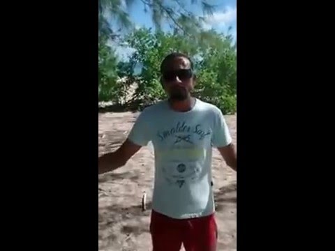 Em porto de galinhas