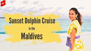 Sunset Dolphin Cruise in the Maldives! 🌅
