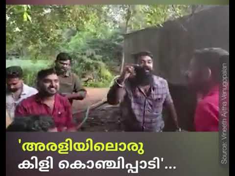 chendumallika poo kandal viral song "ചെണ്ടുമല്ലിക പൂ കണ്ടാൽ ചന്തമില്ല കരളേ..