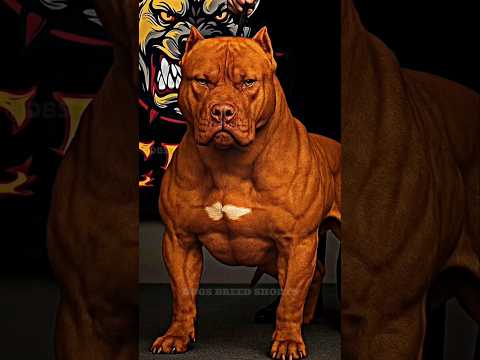 "9 Dogs That Can End You in Seconds! 🐕⏱️"