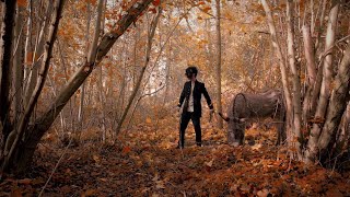 L'abondance Music Video