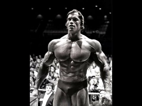 Austrian Oak  - Arnold Schwarzenegger