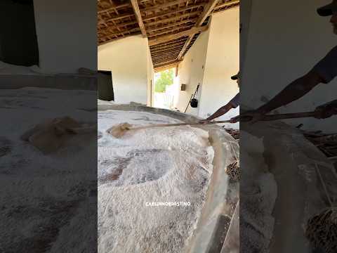 FARINHADA em Luiz Gomes-RN🏜️👏