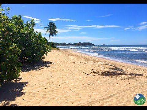 Lagarta Lodge - The Eco Lodge at the Pacific Ocean