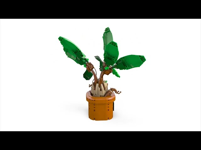 Vídeo relacionado con LEGO Harry Potter Castillo de Hogwarts: Clase de Herbología - Minifiguras de Neville Longbottom, Hermione Granger y Prof. Sprout - 3 Mandrágoras de Juguete - Regalo para Niñas y Niños de 8+ Años 76445