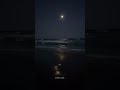 Hey Minnale Song ️ Amaran ️ Tamil Love Whatsapp Status Lyricsspot Tamilsong Couplegoals Amar