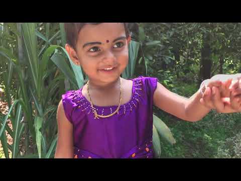 (Alphu) Alphonsa  2 nd Happy Birthday 26/04/2019 🥳🥳🥳