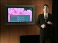 Ausschnitt Aus Der Philips Flachbildfernseher Demo DVD Von 1998