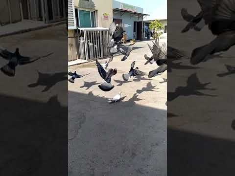 Nokia 5.4 slow motion mode