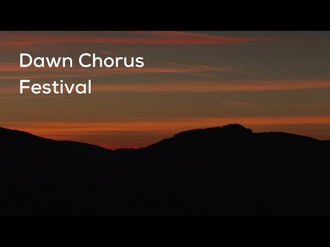 Celebrate the Dawn Chorus Festival