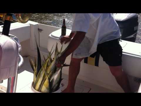 Lui Unloading the Catch