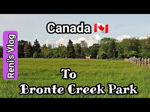 Nature-Filled Canadian Adventure: Exploring Bronte Creek Park, Oakville!