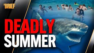 Sydney's Summer of Terror: Inside the 2026 Shark Attacks | The Brief