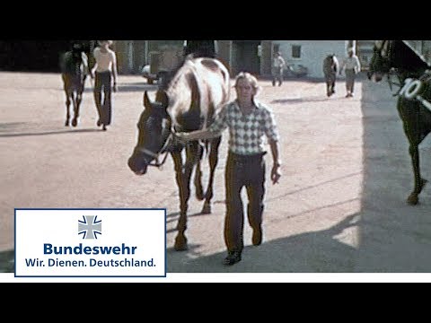 Classix: Stallfarbe – NATO-Oliv (1976) - Bundeswehr