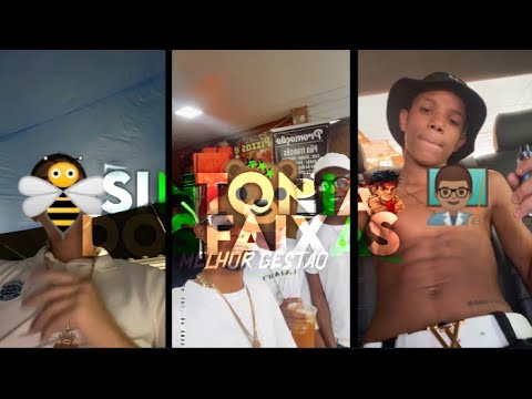 ABELHA URSO PROFESSOR MACACO RUSSO TIK TOK DO COMPLEXO