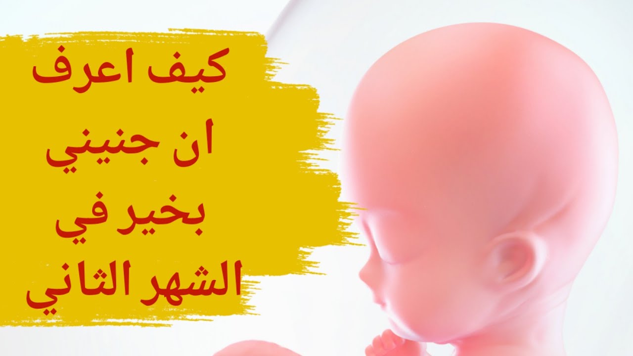 Watch كيف أعرف أن جنيني بخير في الشهر الثاني | كيف اعرف ان حملي سليم | تطور الجنين الطبيعي في الشهر الثاني Now كيف أعرف أن جنيني بخير في الشهر الثاني | كيف اعرف ان حملي سليم | تطور الجنين الطبيعي في الشهر الثاني