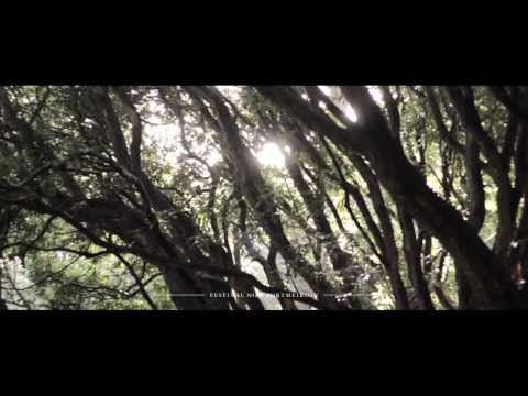 Festival Number 6: 2013 Highlights