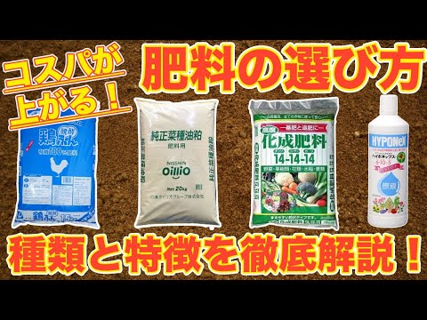 果樹に春に肥料を与えるにはどのような肥料を使用すればよいですか？  庭園