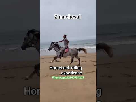 horseback riding expérience WhatsApp212660739222 #camel #horse #cheval #quad #equestrian #travel