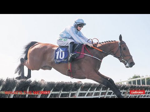 Ladbrokes Trophy | Hatton's Grace Hurdle | Weekend Racing Tips | What's The Word?