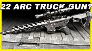 Bushmaster 22 ARC V Radicator – How Does It Perform?