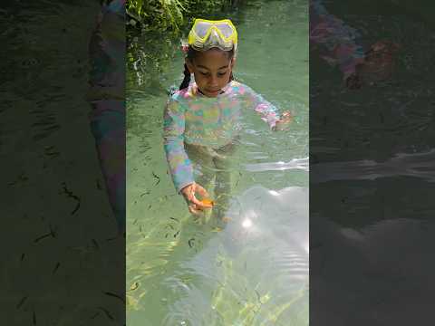 Viagem ao Jalapão - fervedouro  #Tocantins# ferias #expedição #mateiros #palmastocantins #ecotourism