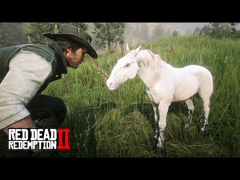 Achei um POTRO que perdeu a mãe - Salvando a vida de um lindo POTRINHO - Red Dead Redemption 2